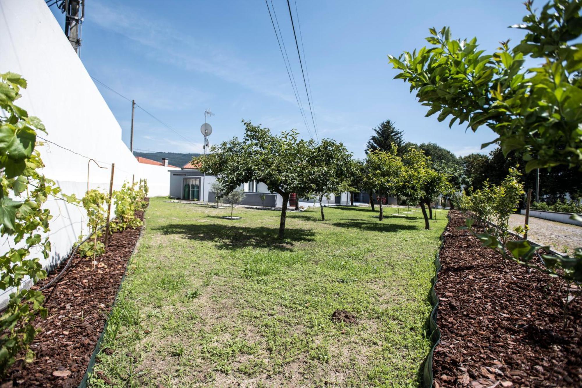 Quinta Do Pomar Pomar Farm Villa Briteiros Dış mekan fotoğraf