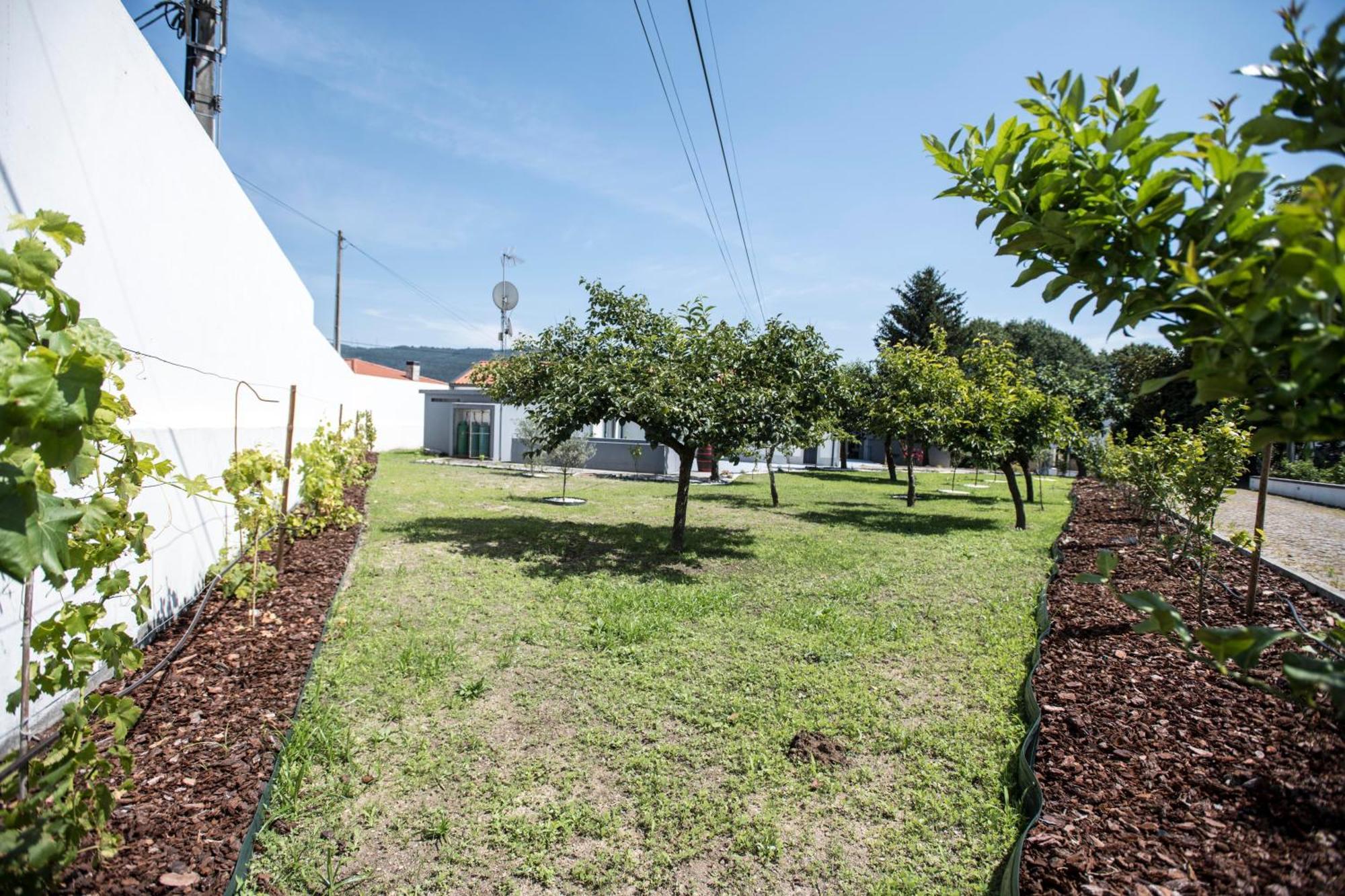 Quinta Do Pomar Pomar Farm Villa Briteiros Dış mekan fotoğraf