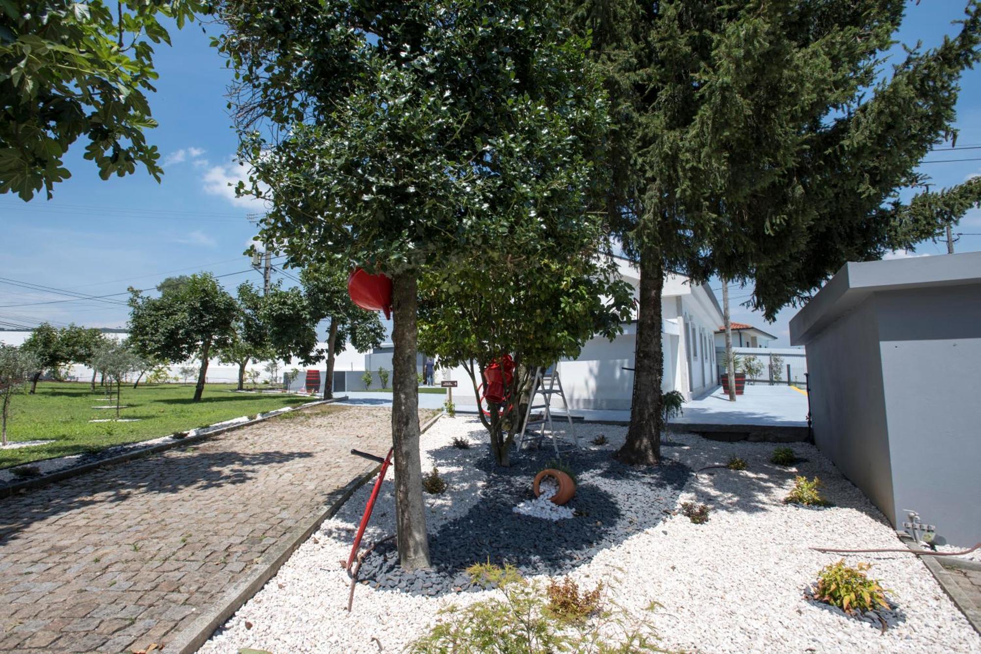 Quinta Do Pomar Pomar Farm Villa Briteiros Dış mekan fotoğraf