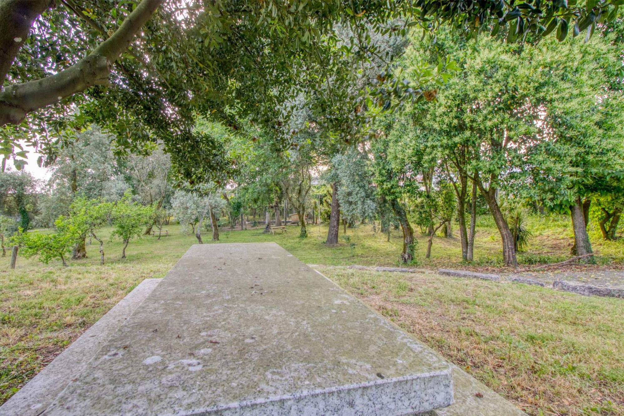 Quinta Do Pomar Pomar Farm Villa Briteiros Dış mekan fotoğraf